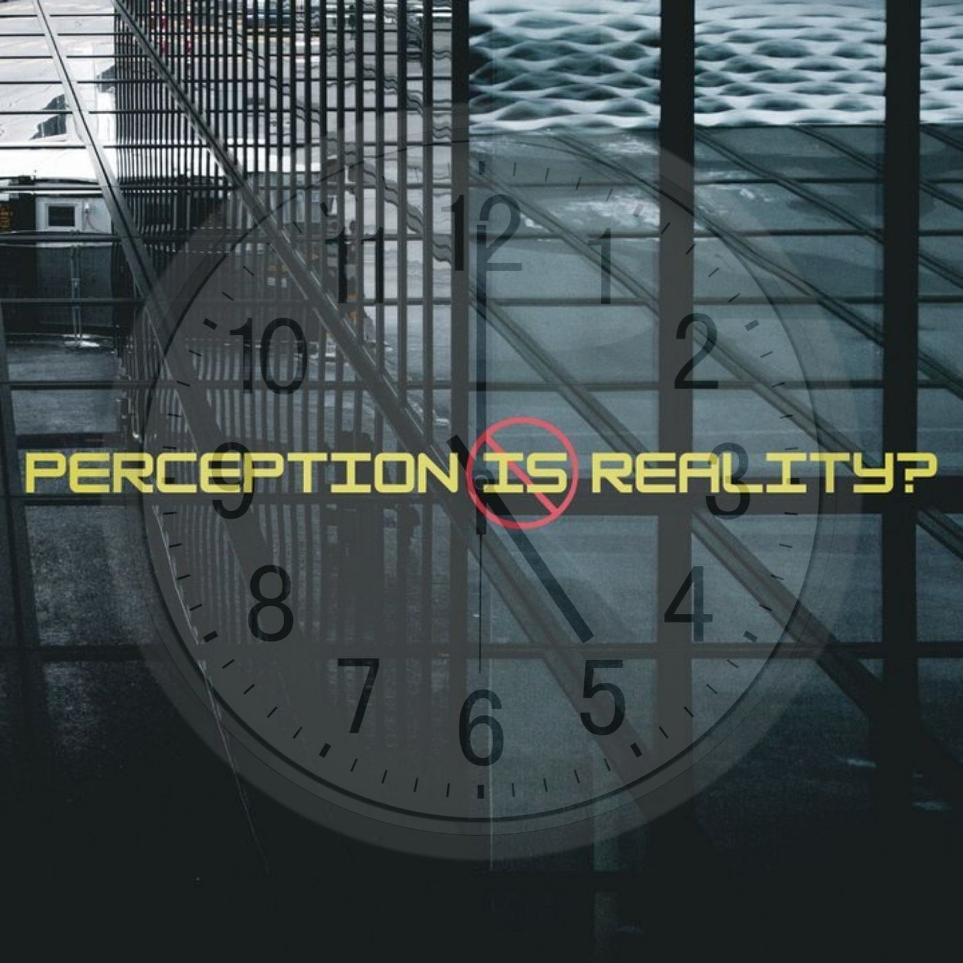 Ep. #461: PERCEPTION IS REALITY? w/ Cynthia Sue Larson