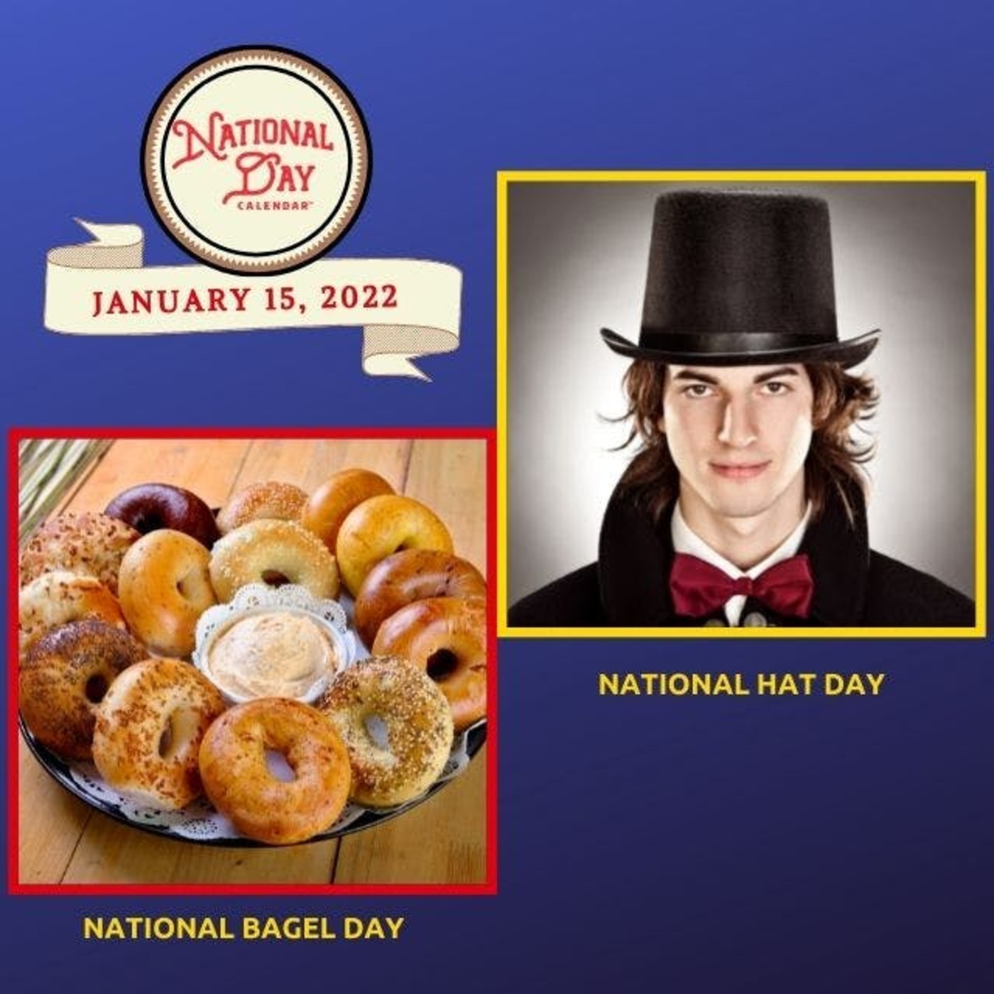 Celebrate Every Day