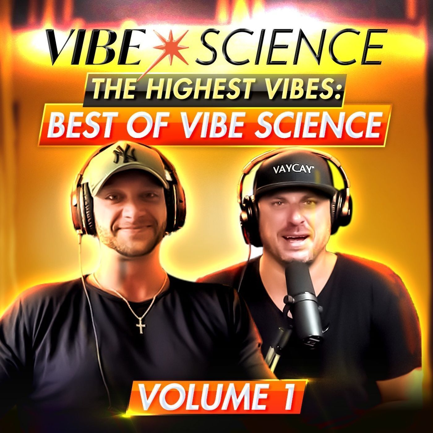 The Highest Vibes: Best of Vibe Science Volume 1