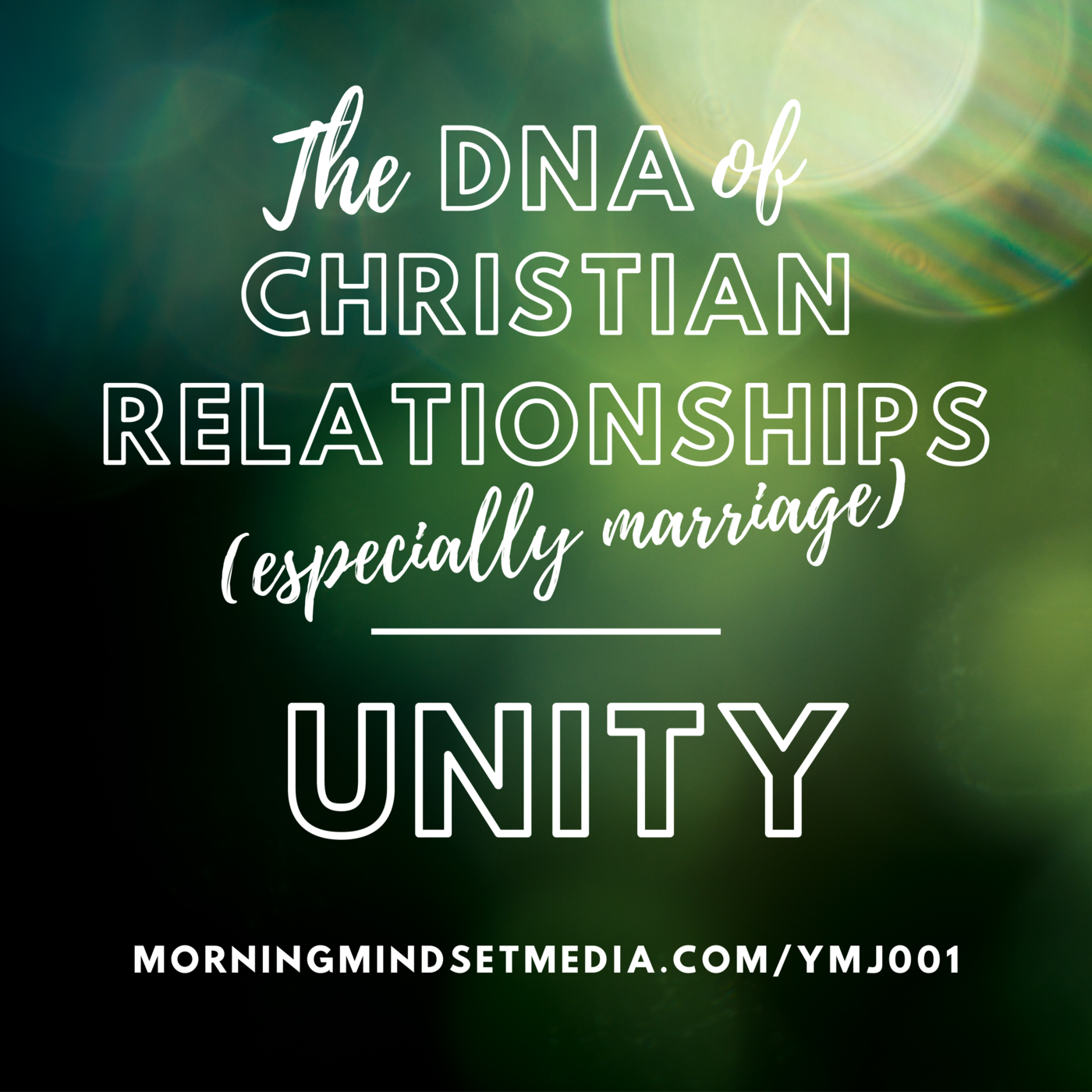 001: The DNA of Christian relationships (especially marriage) : Unity