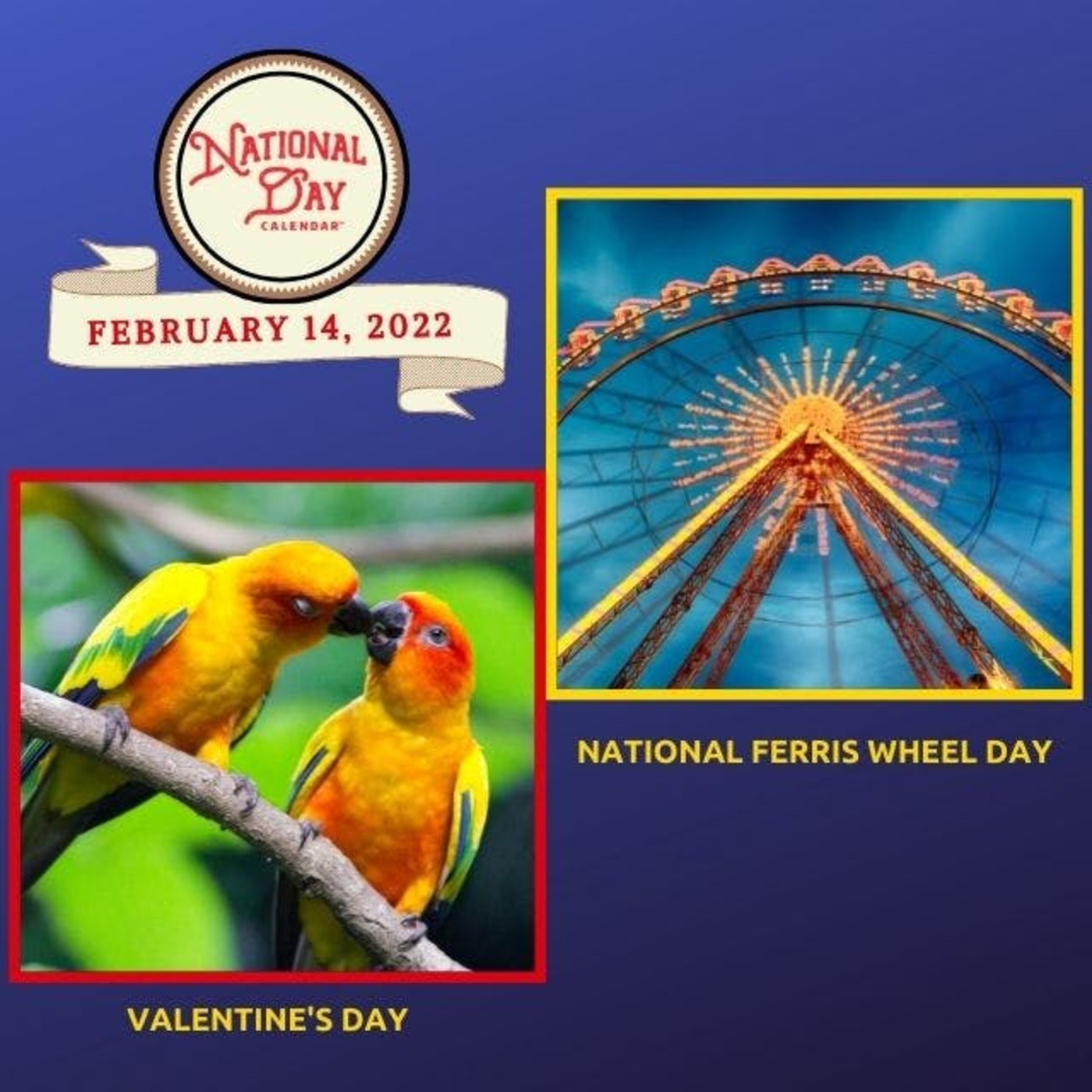 Celebrate Every Day