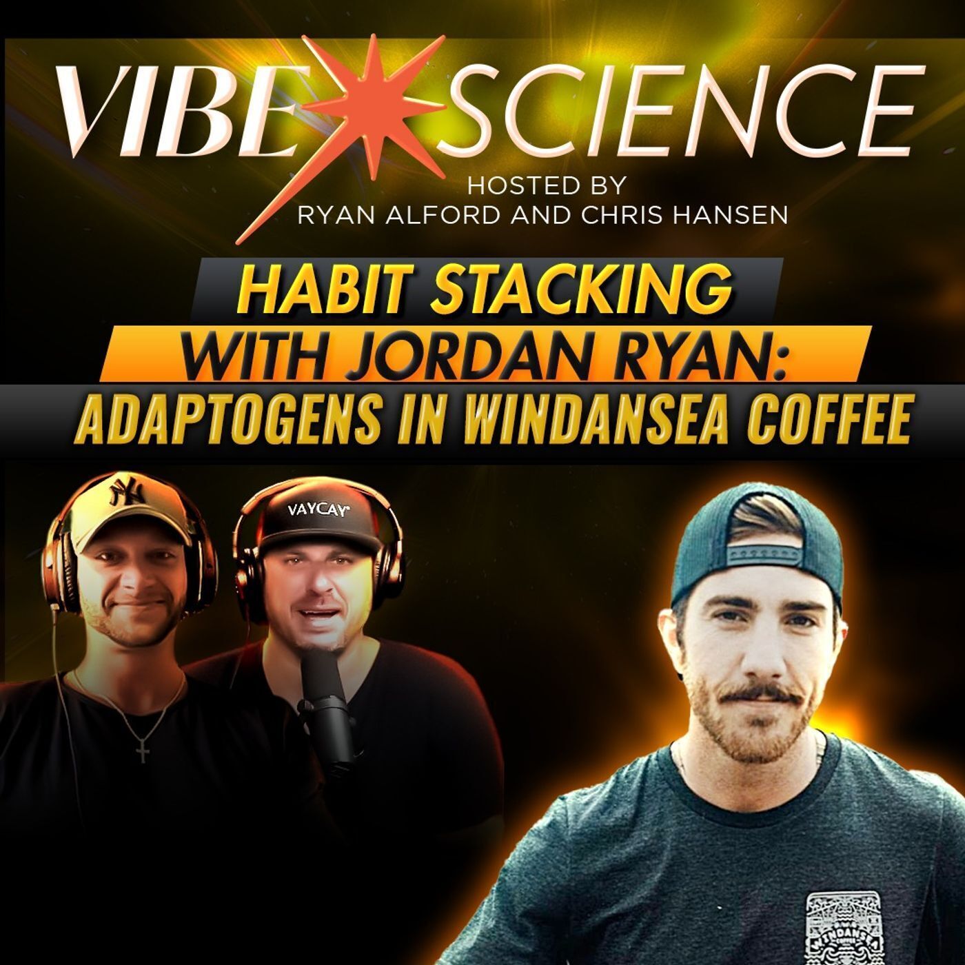 THE VIBE SCIENCE PODCAST