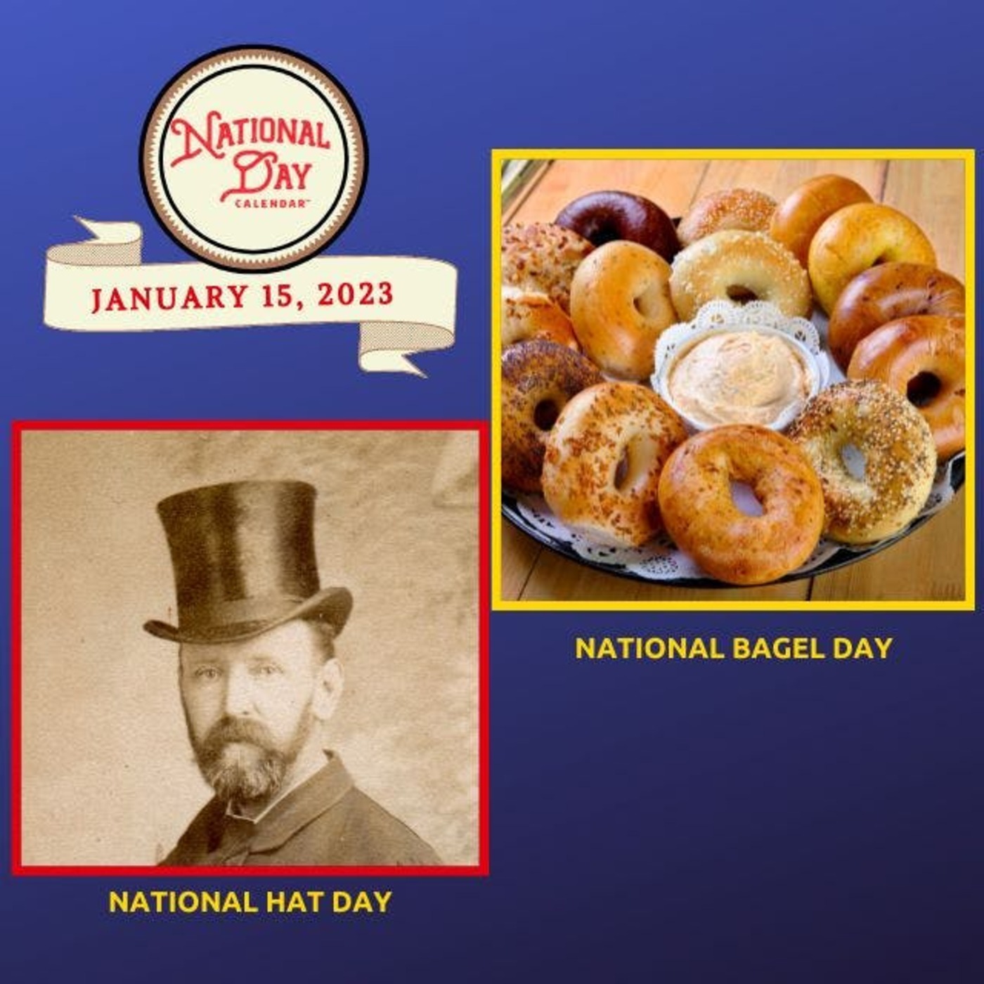 Celebrate Every Day