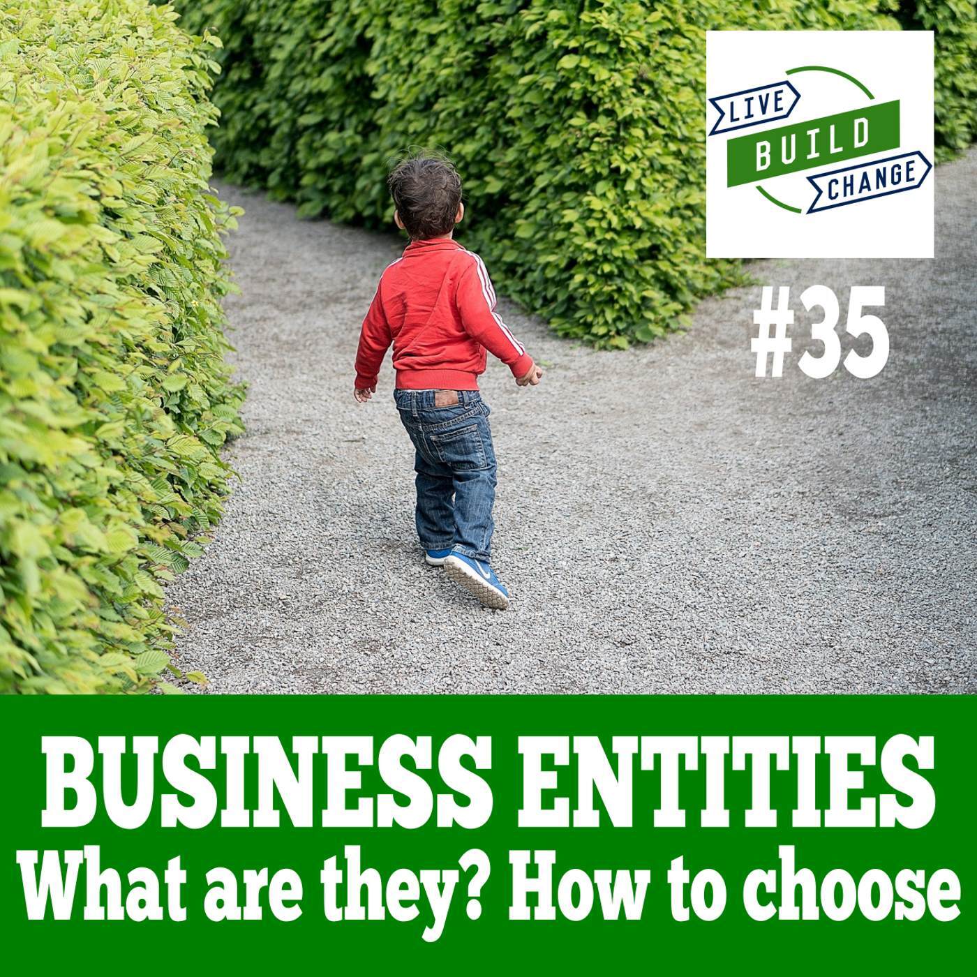 Types of Companies: Choosing the Best Business Entity for You [Ep #35]