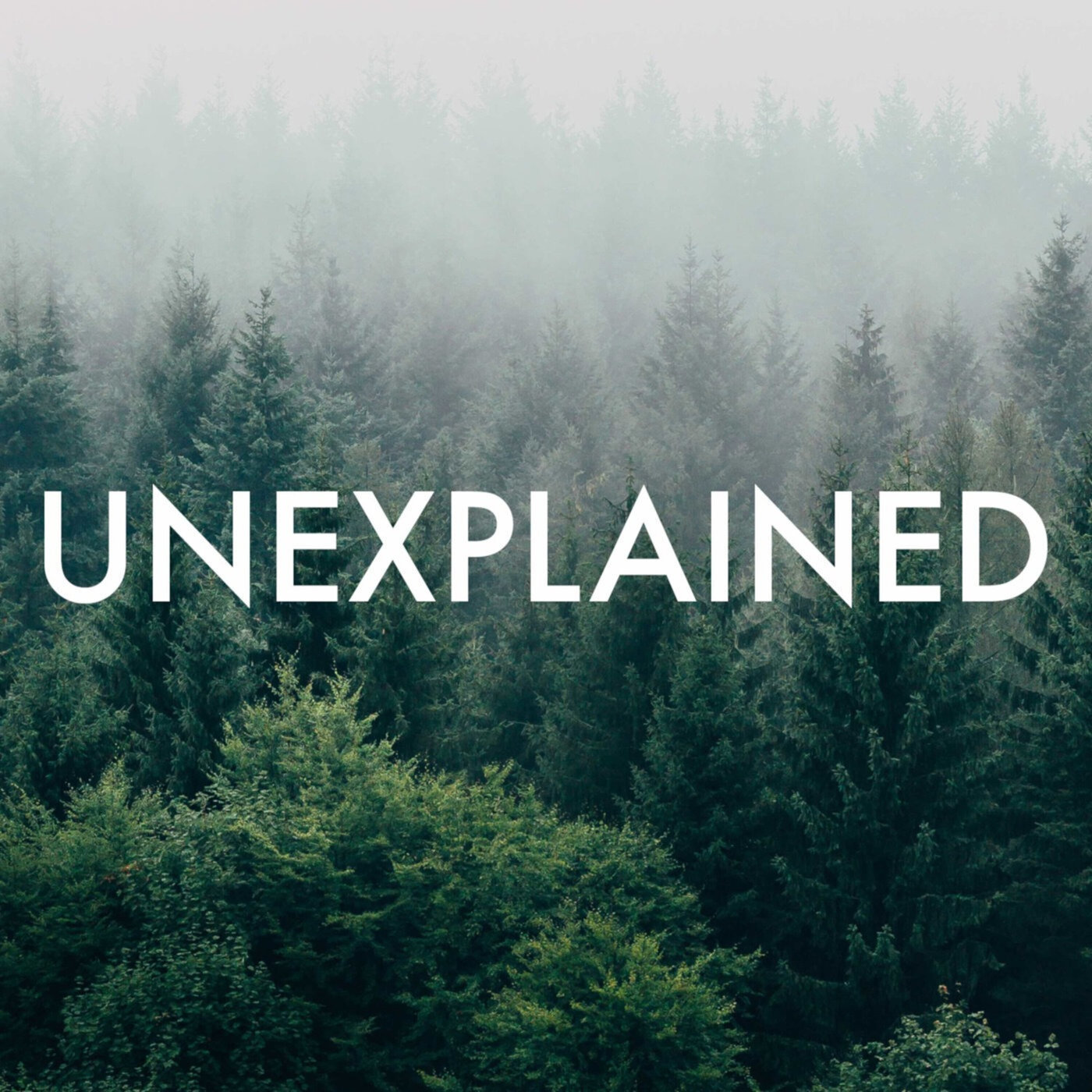 Season 6 Episode 8 Extra: Alone in a Darkened Room