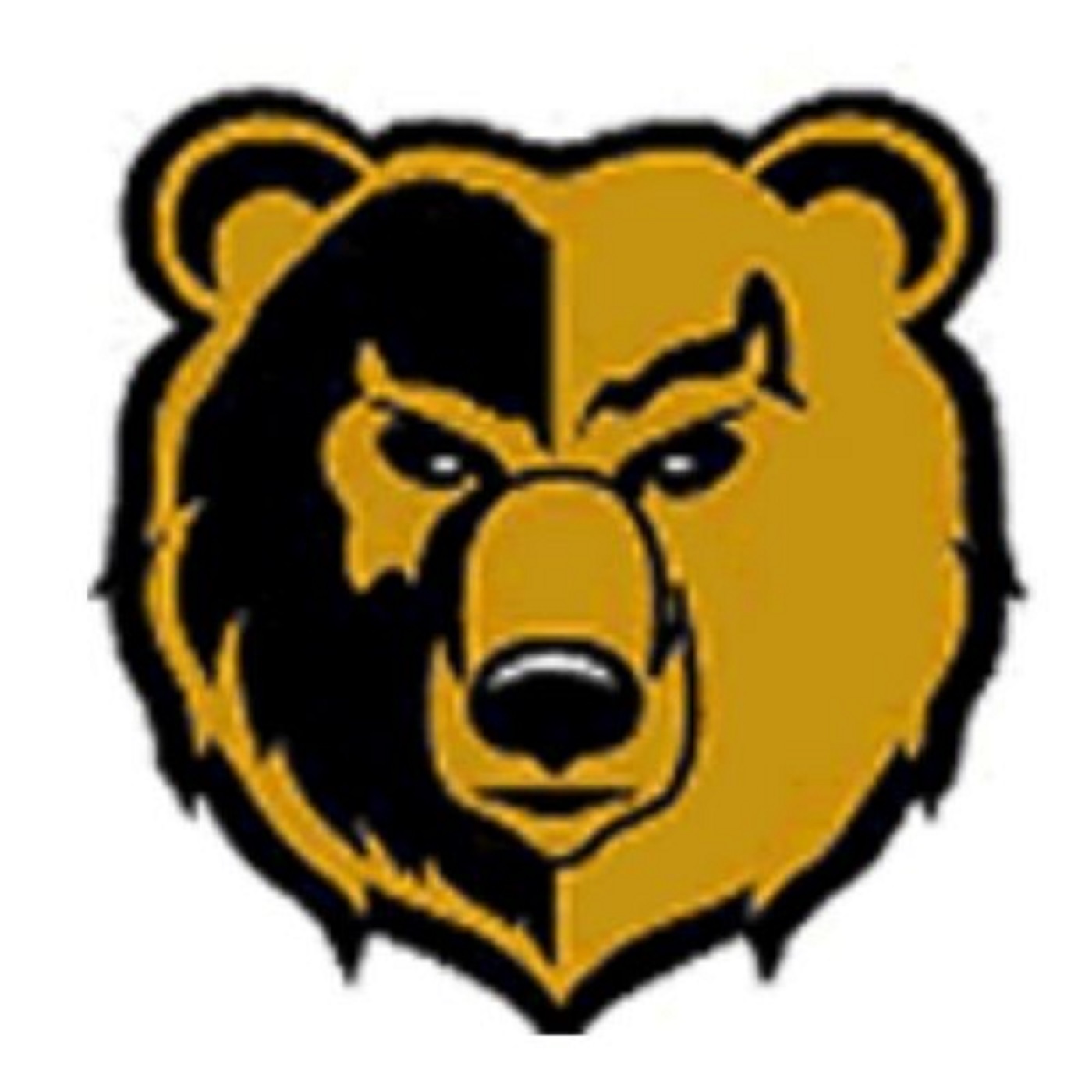 Week 2 HS Football, August 29, 2025: Shelbyville 45, Rushville 20