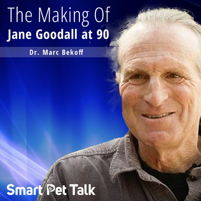 Smart Pet Talk