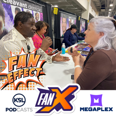 Fan Effect