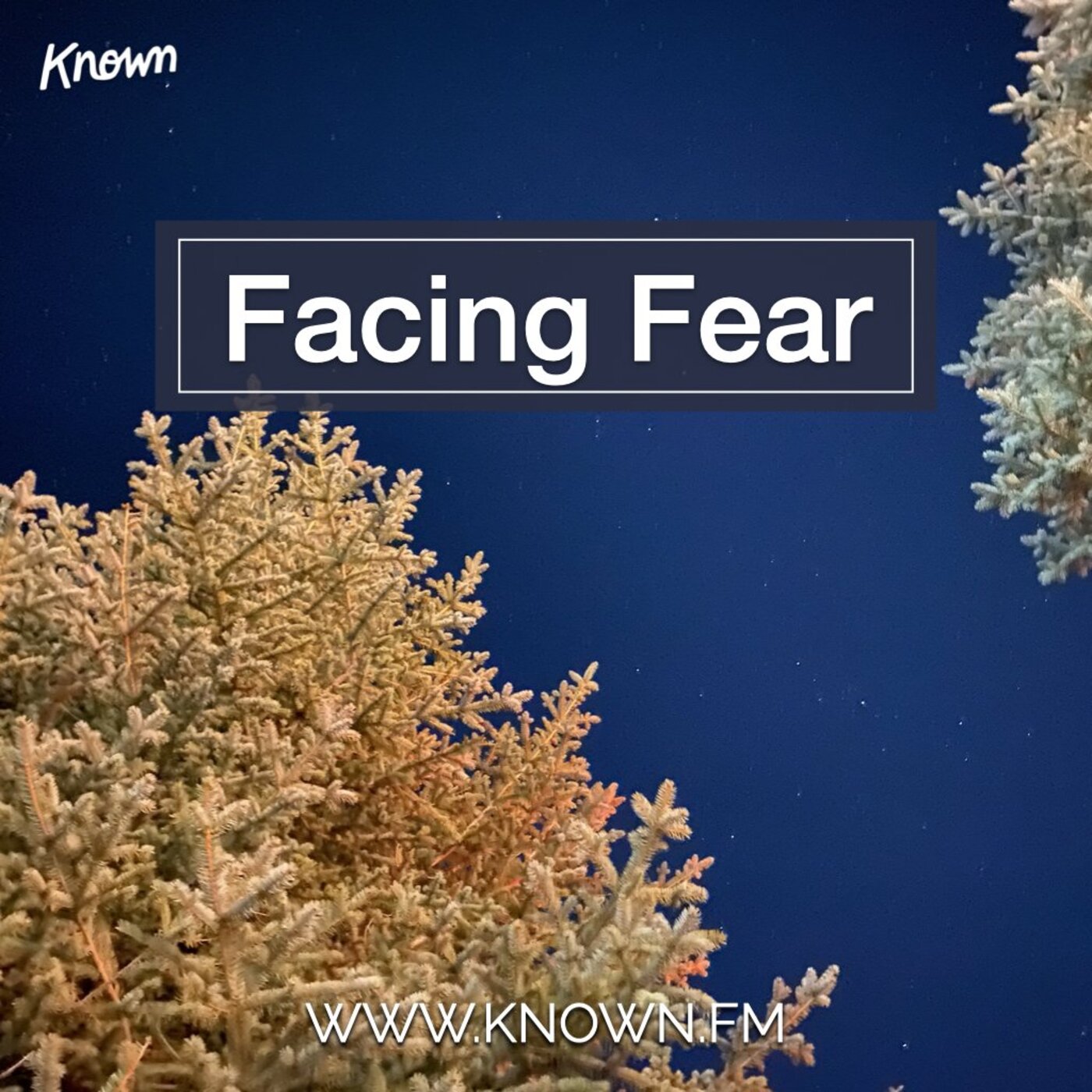 Facing Fear