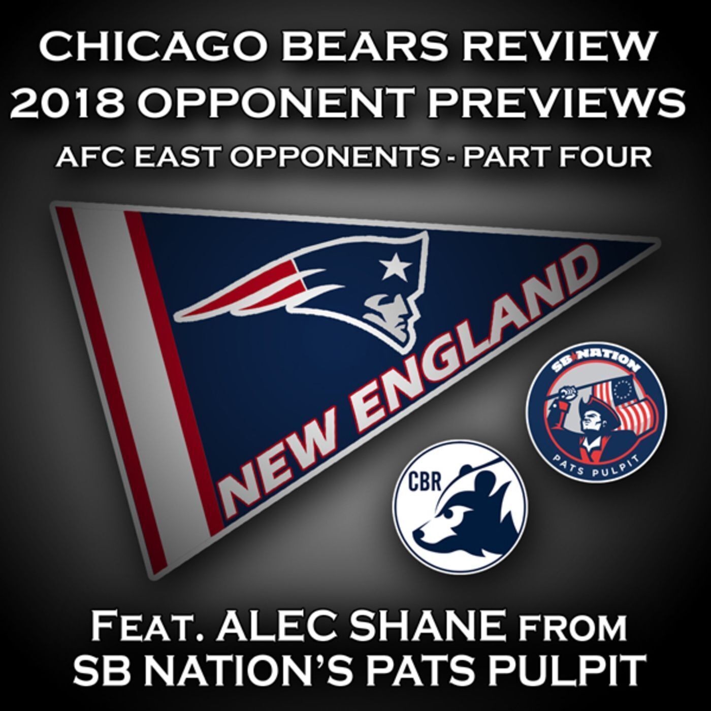Opponent Preview #6: AFC East Opponent - Part Four