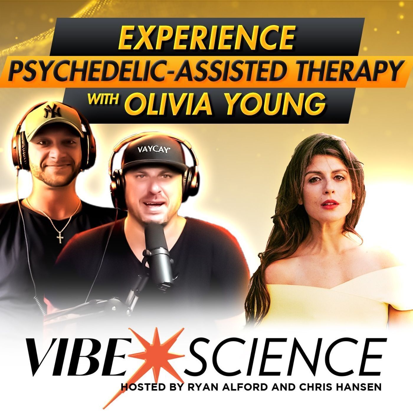 THE VIBE SCIENCE PODCAST