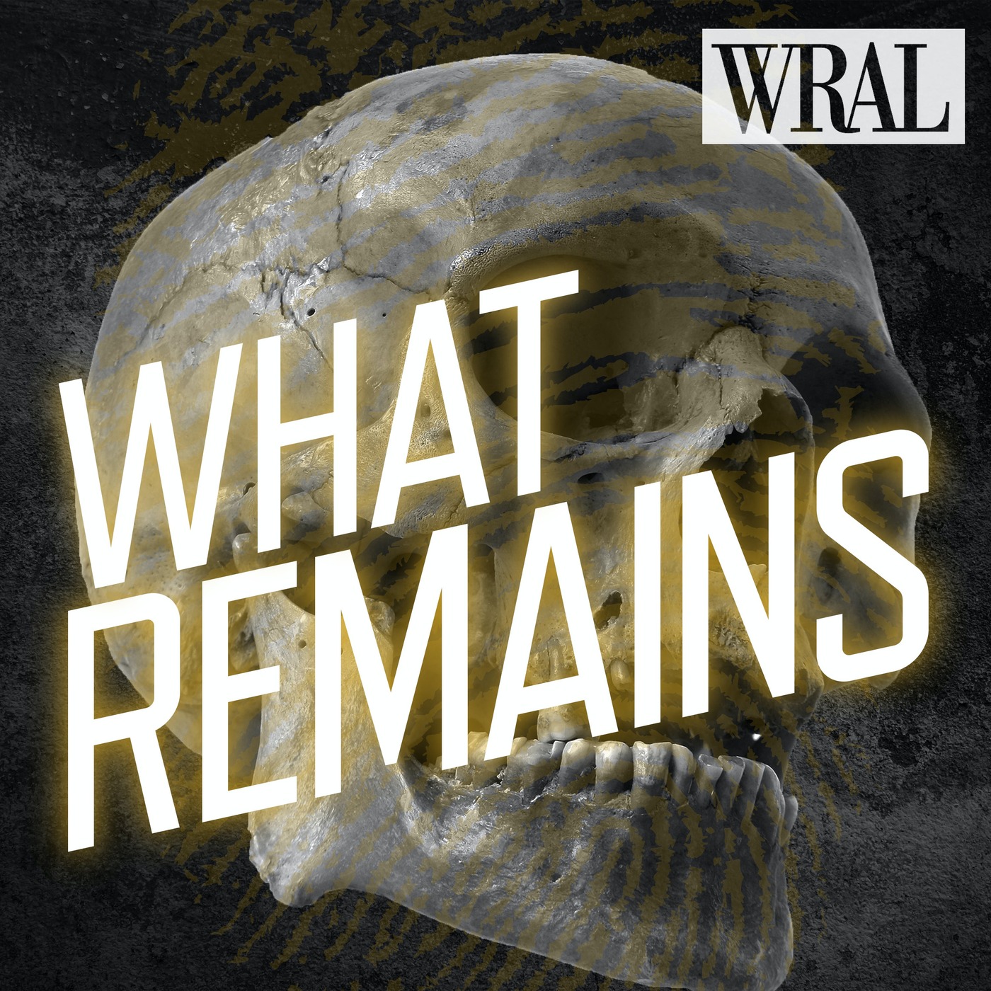 Introducing WHAT REMAINS | Ep 1 Forensic Science Solves the Mystery of Baby Michael