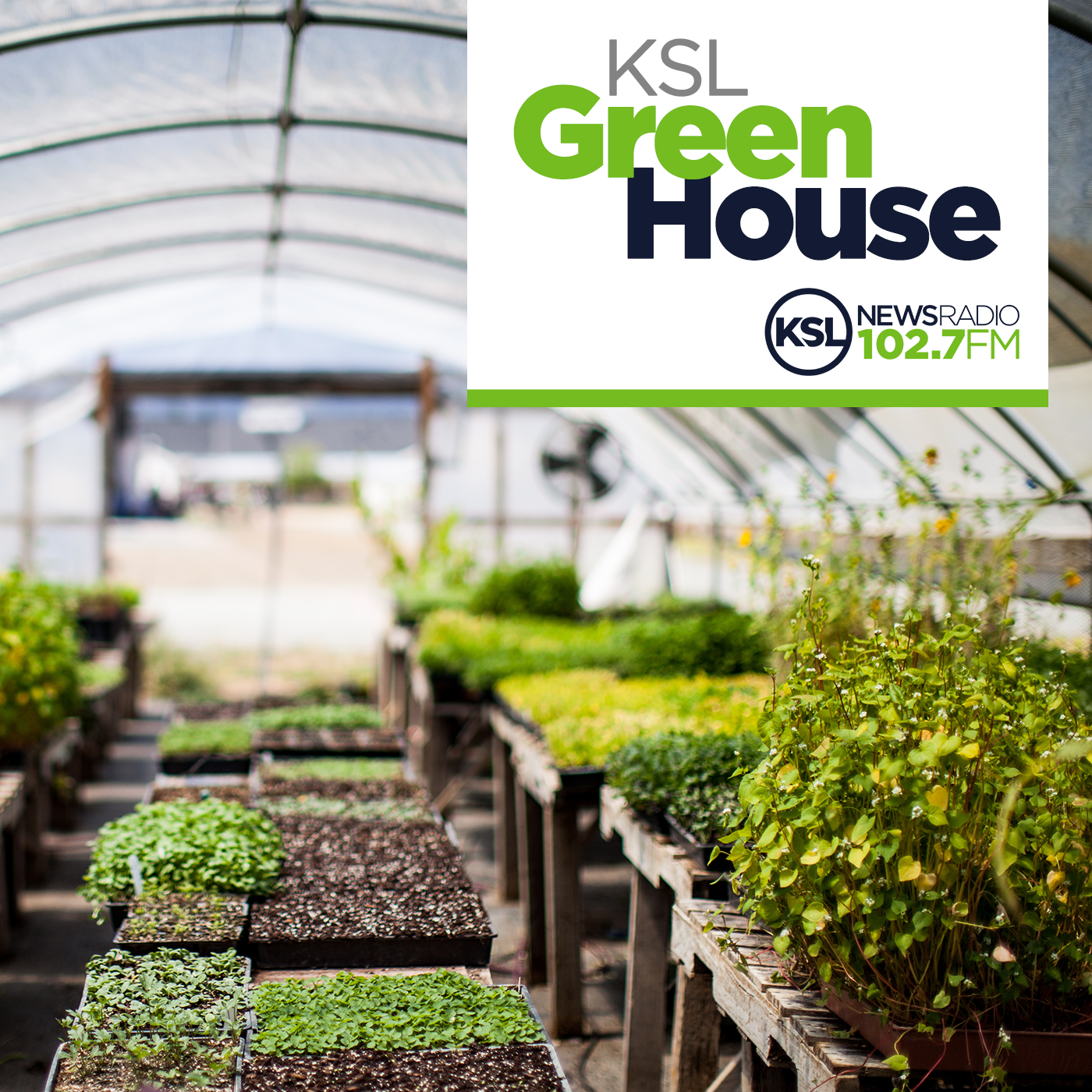 KSL Greenhouse Full Show 6/22/24