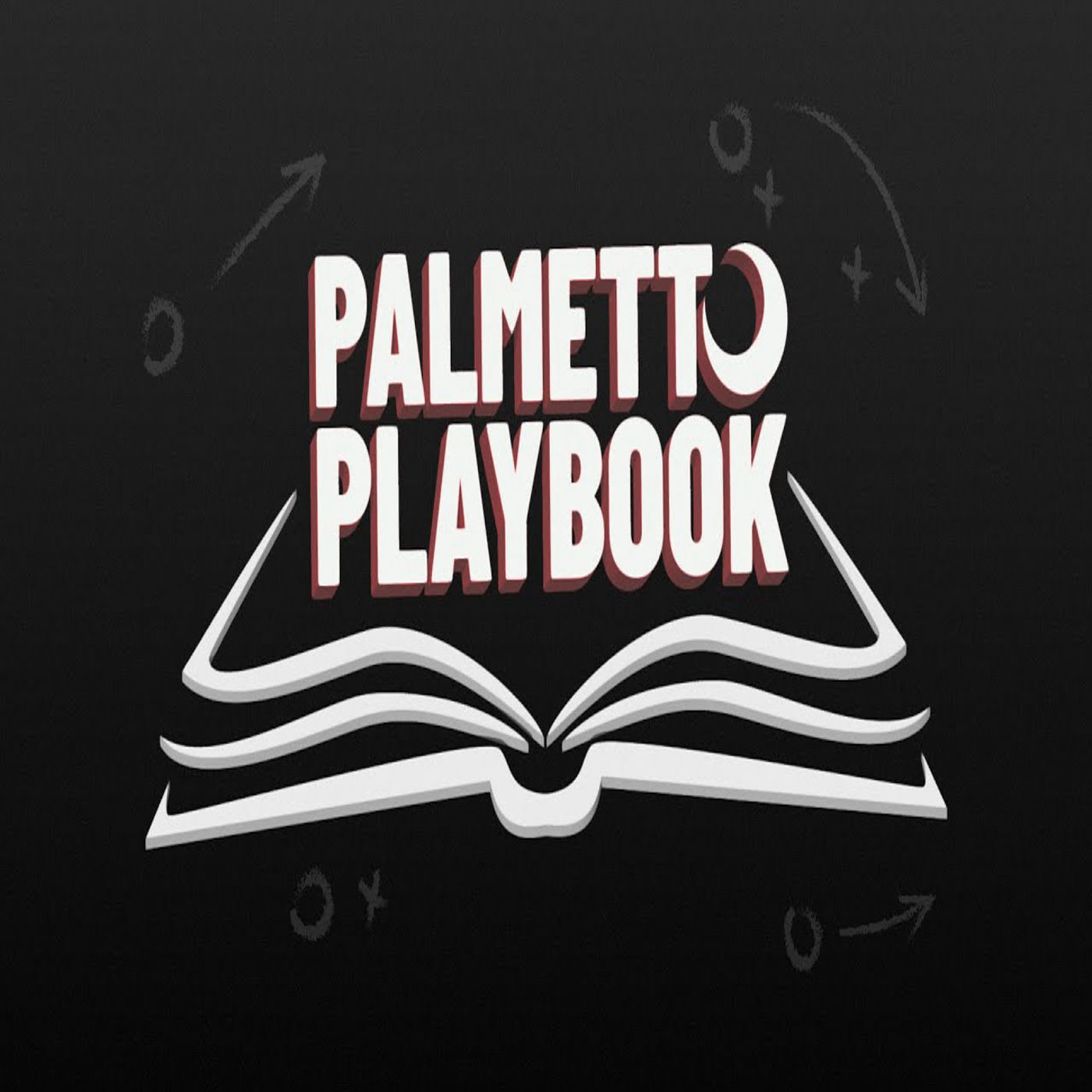 Chapter 2: Palmetto Playbook is back!