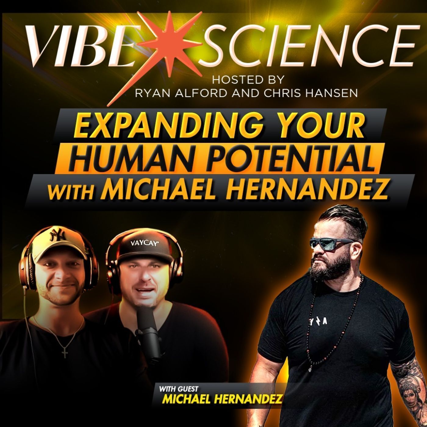 THE VIBE SCIENCE PODCAST