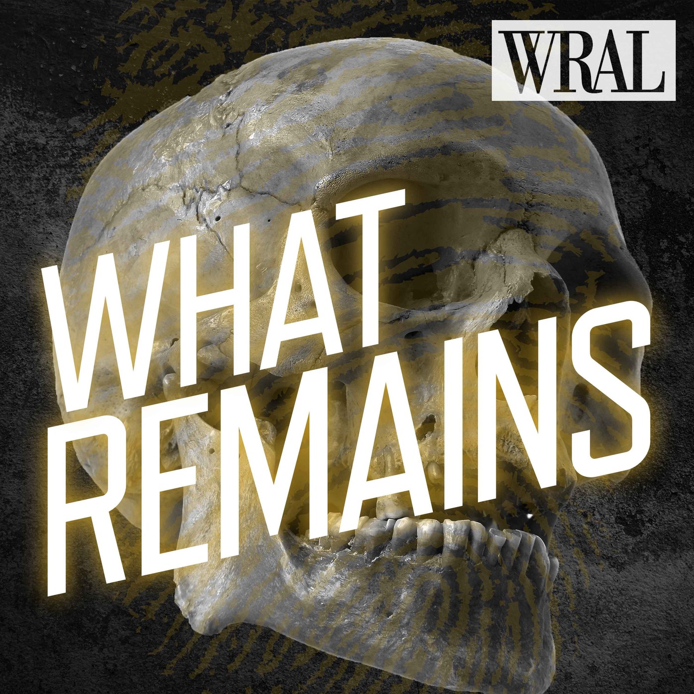Introducing What Remains | TRAILER