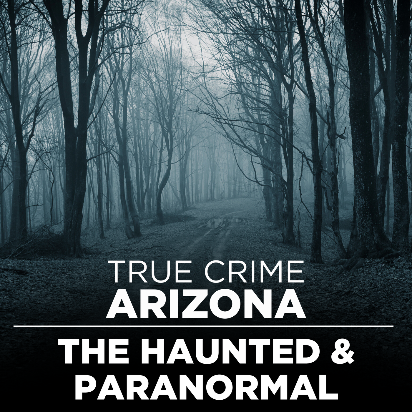 The Haunted and Paranormal