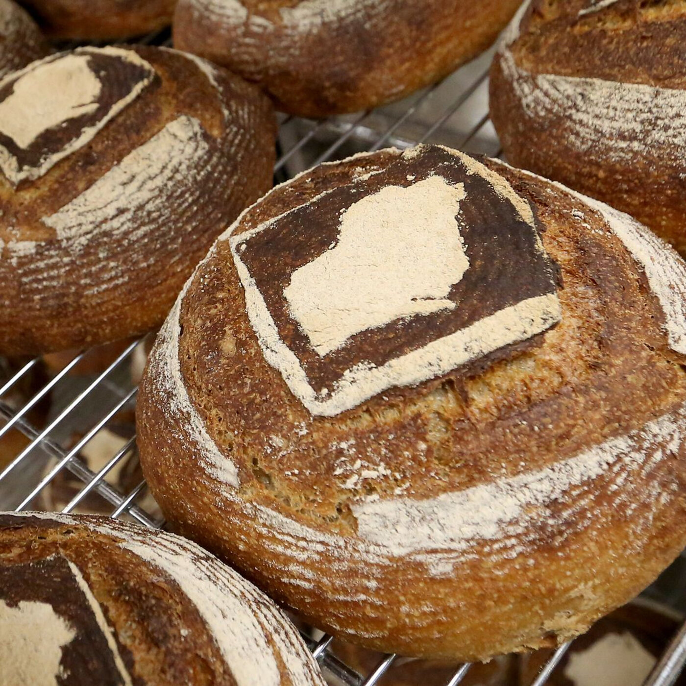 Secrets of sourdough