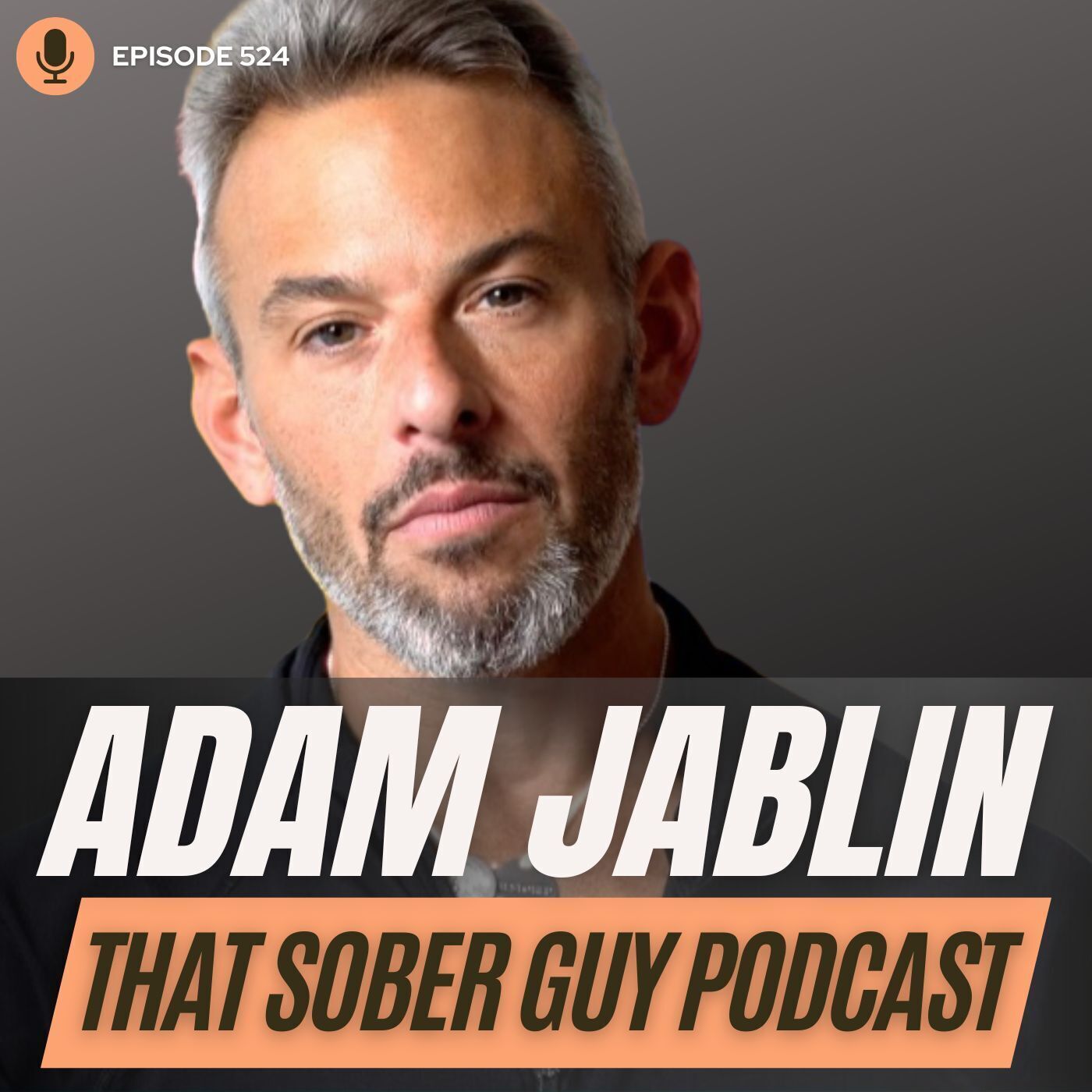 That Sober Guy Podcast