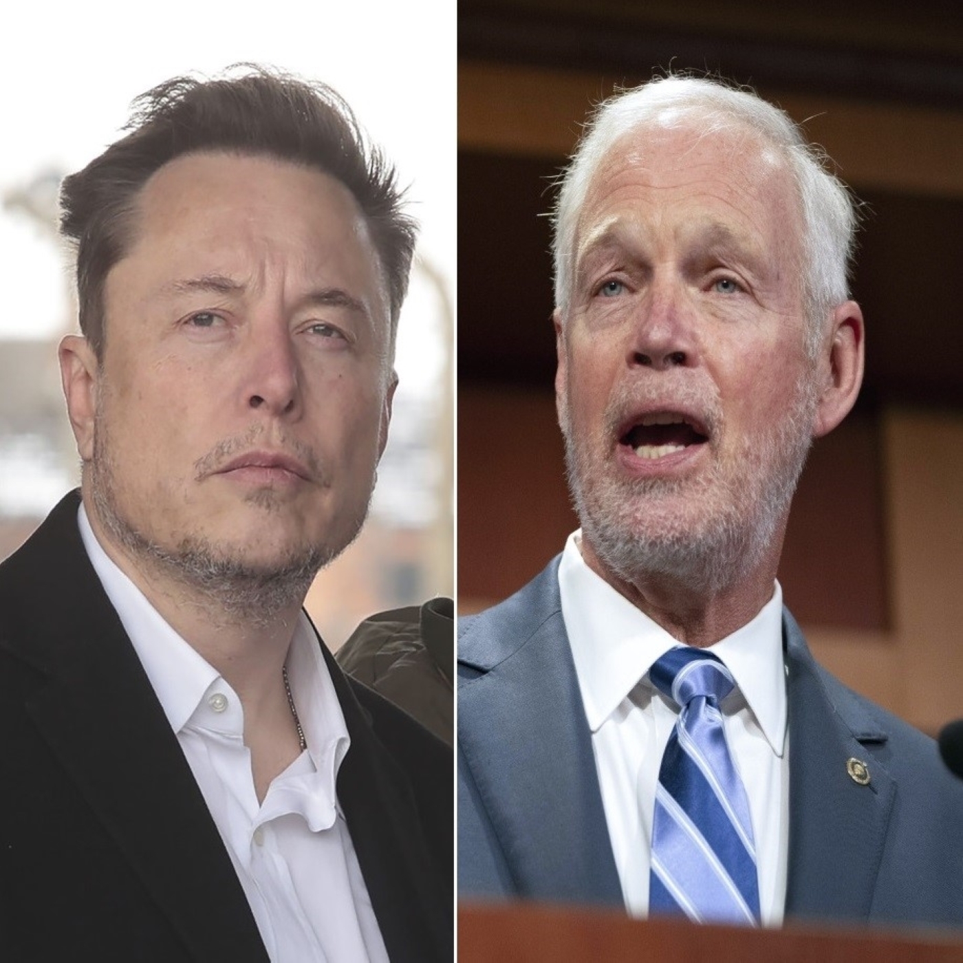 Wisconsin's Ron Johnson tag teams with Elon Musk 