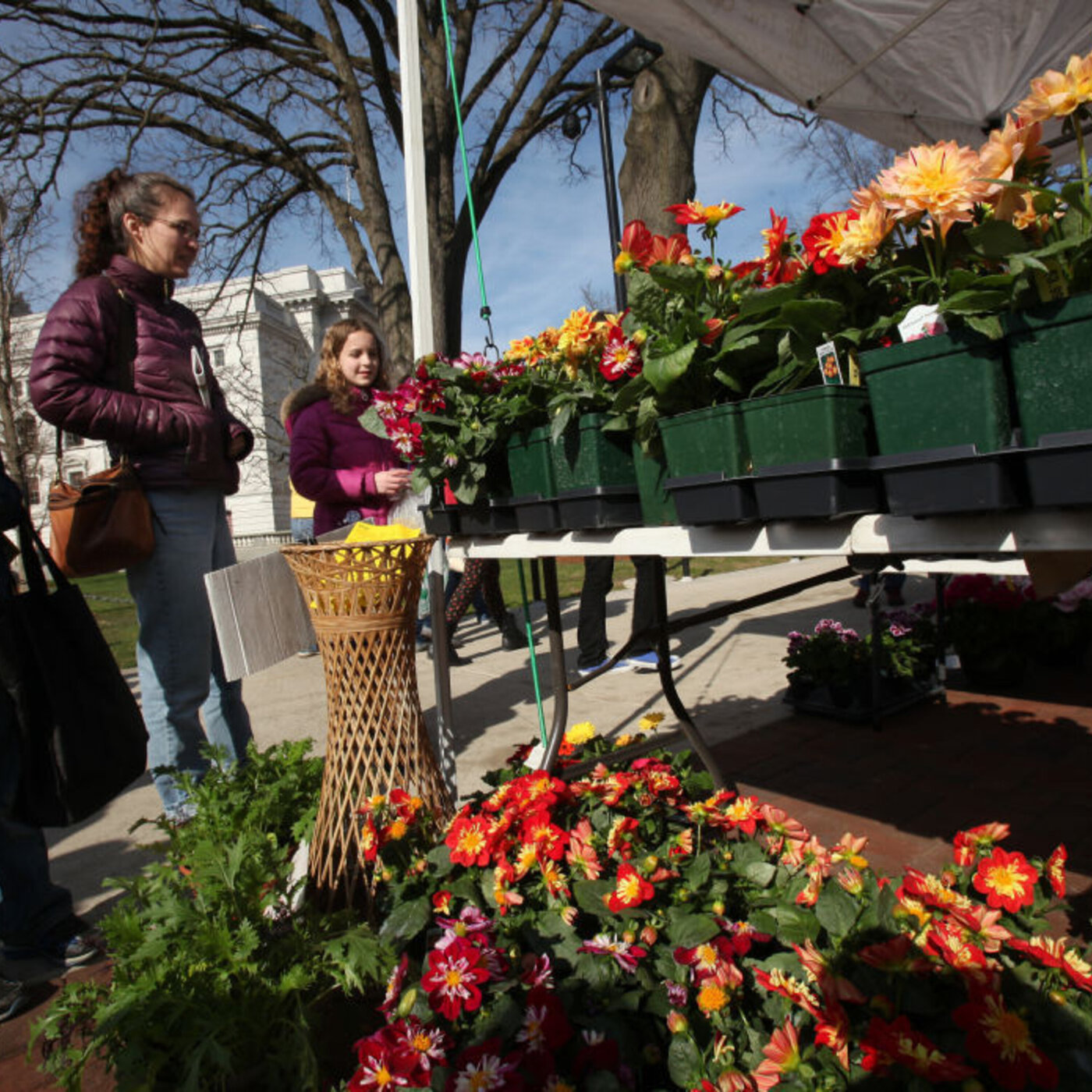 Farmers market indefinitely postponed