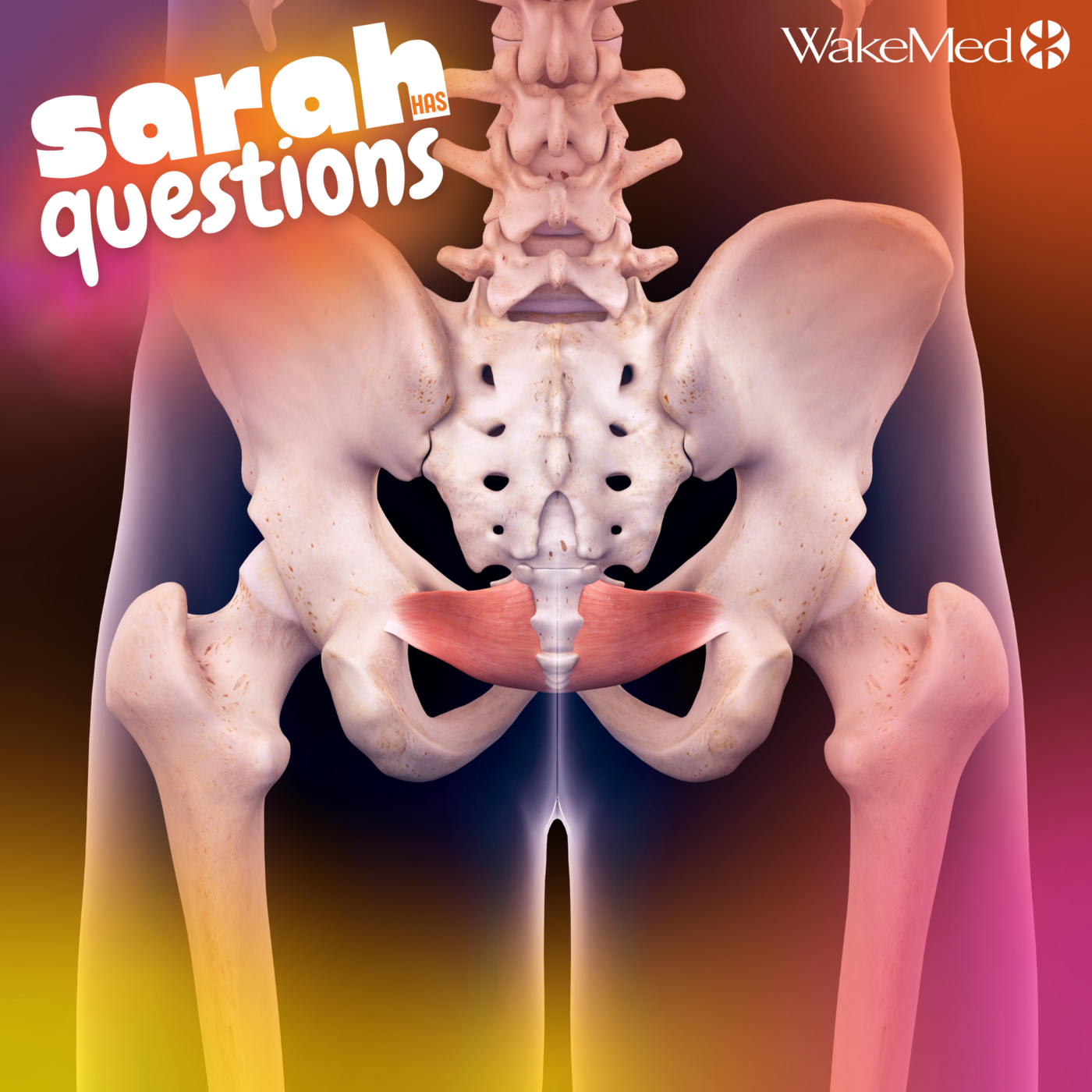 What the heck is a pelvic floor?