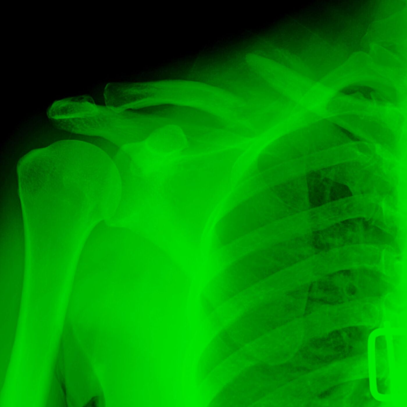 The Sam Sanders Show