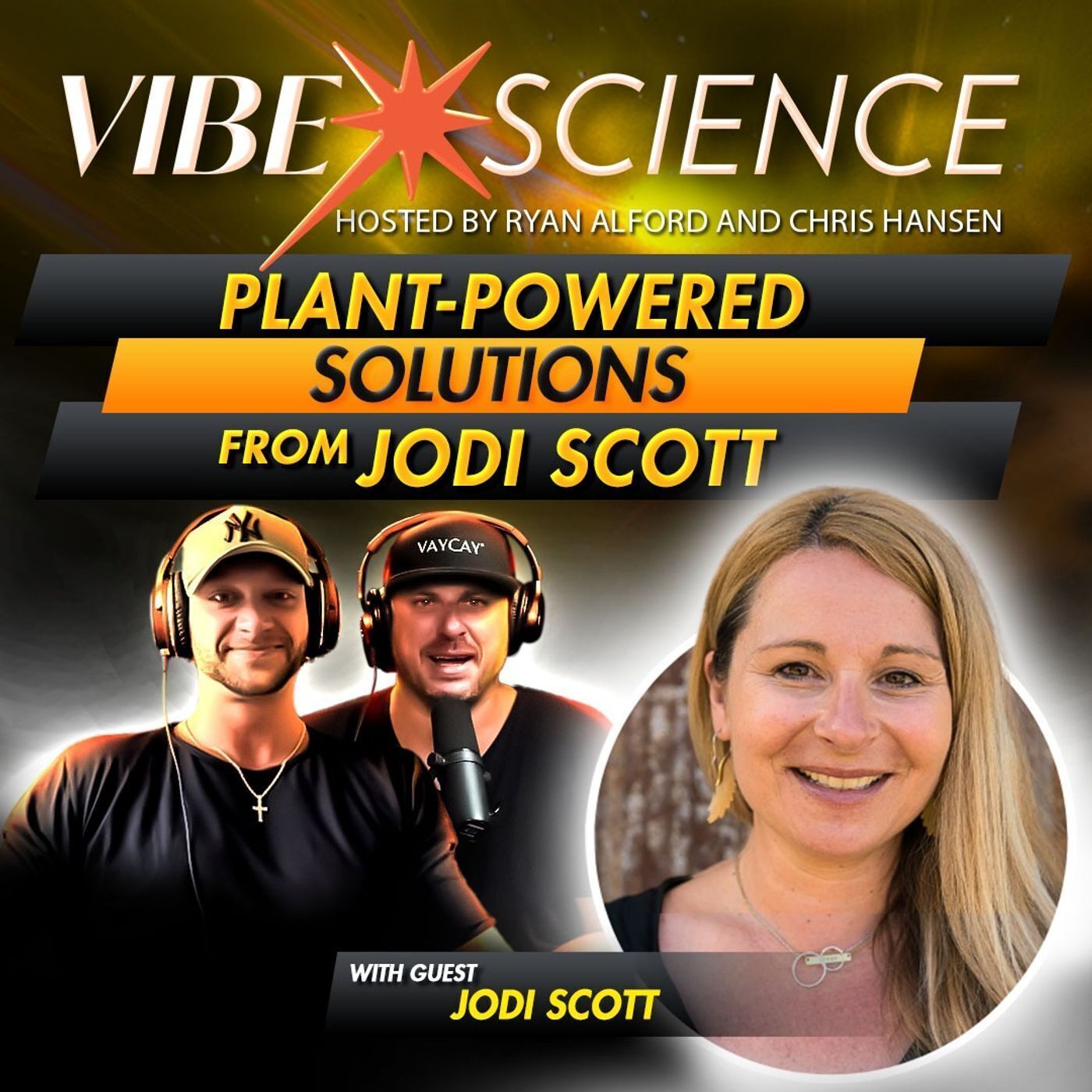 THE VIBE SCIENCE PODCAST