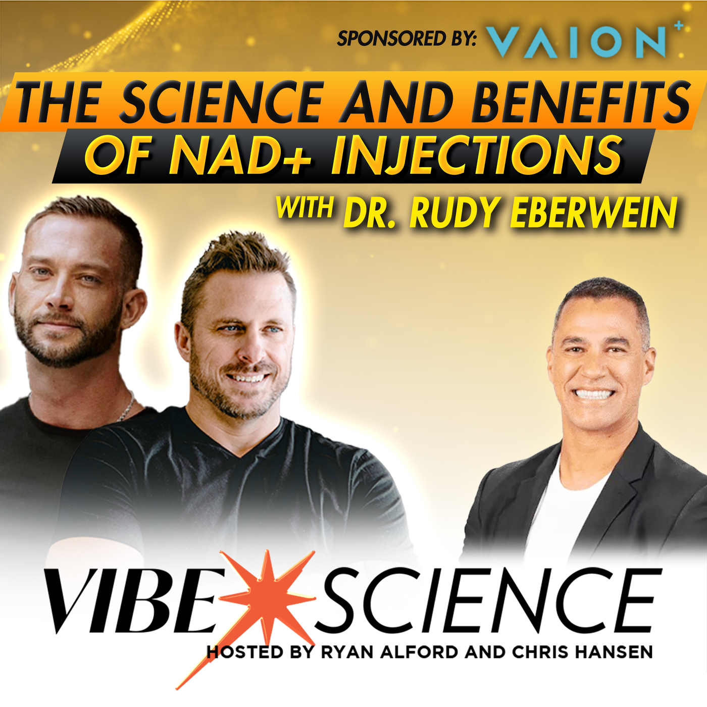 THE VIBE SCIENCE PODCAST