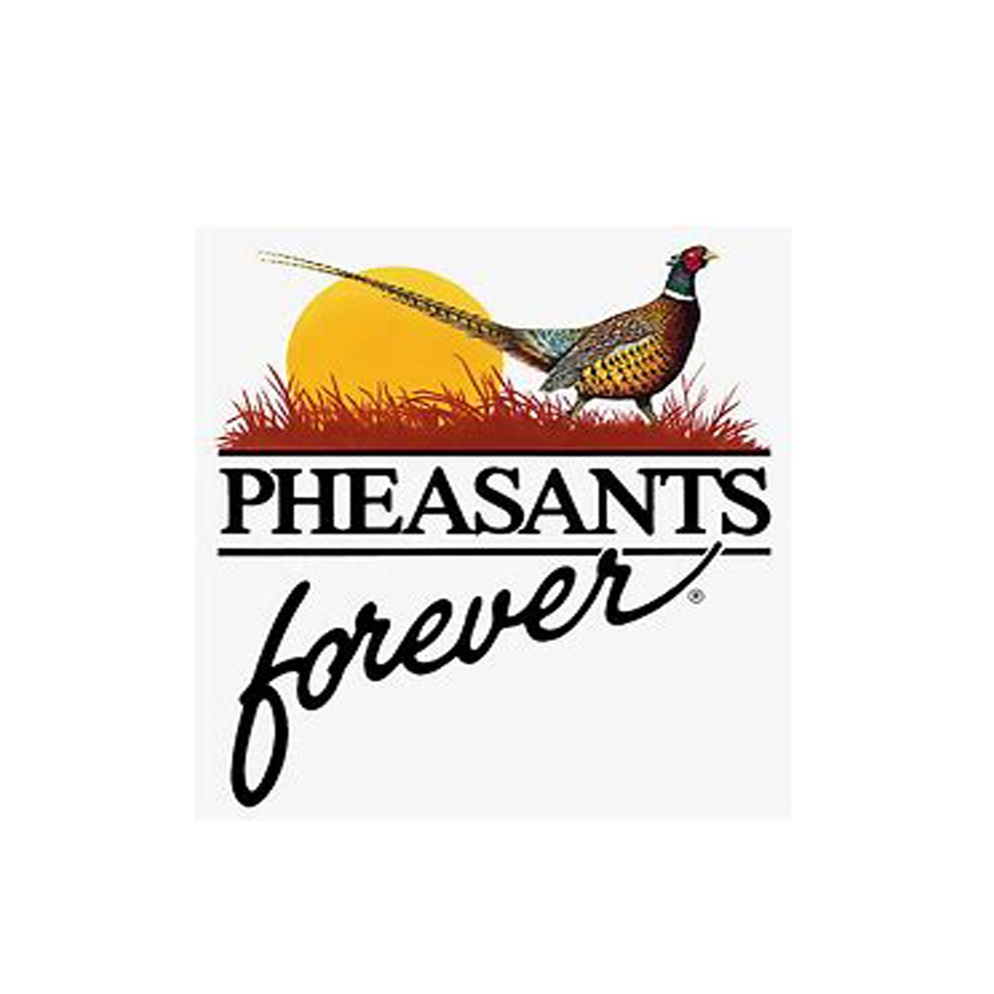 Bob Hix | Terry Wickstrom | 02.14.26