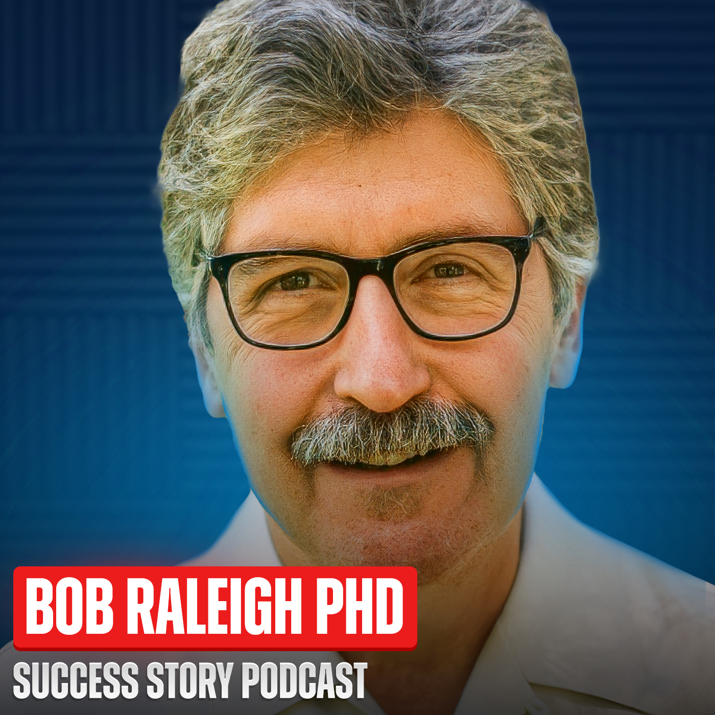 Lessons - How to Understand Anyone in 5 Minutes | Bob Raleigh PhD - Author of The Search for Why