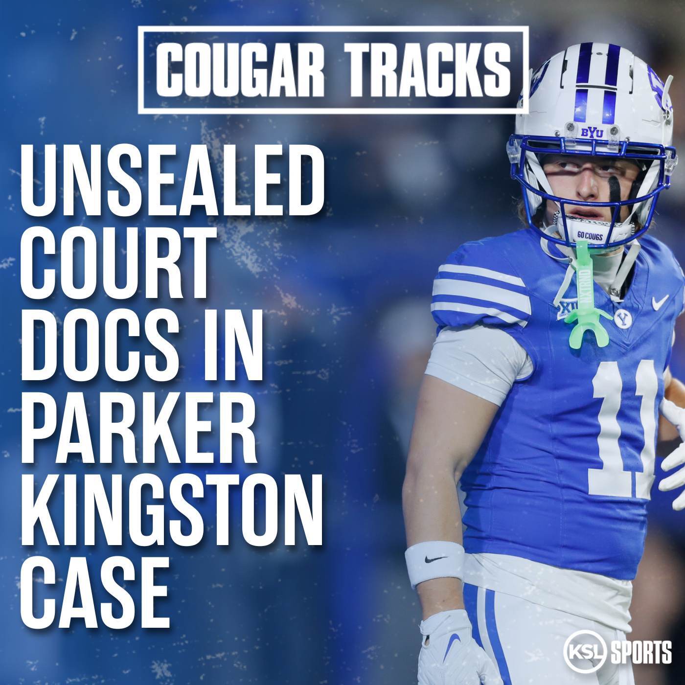 Reviewing Unsealed Court Documents In Parker Kingston Case