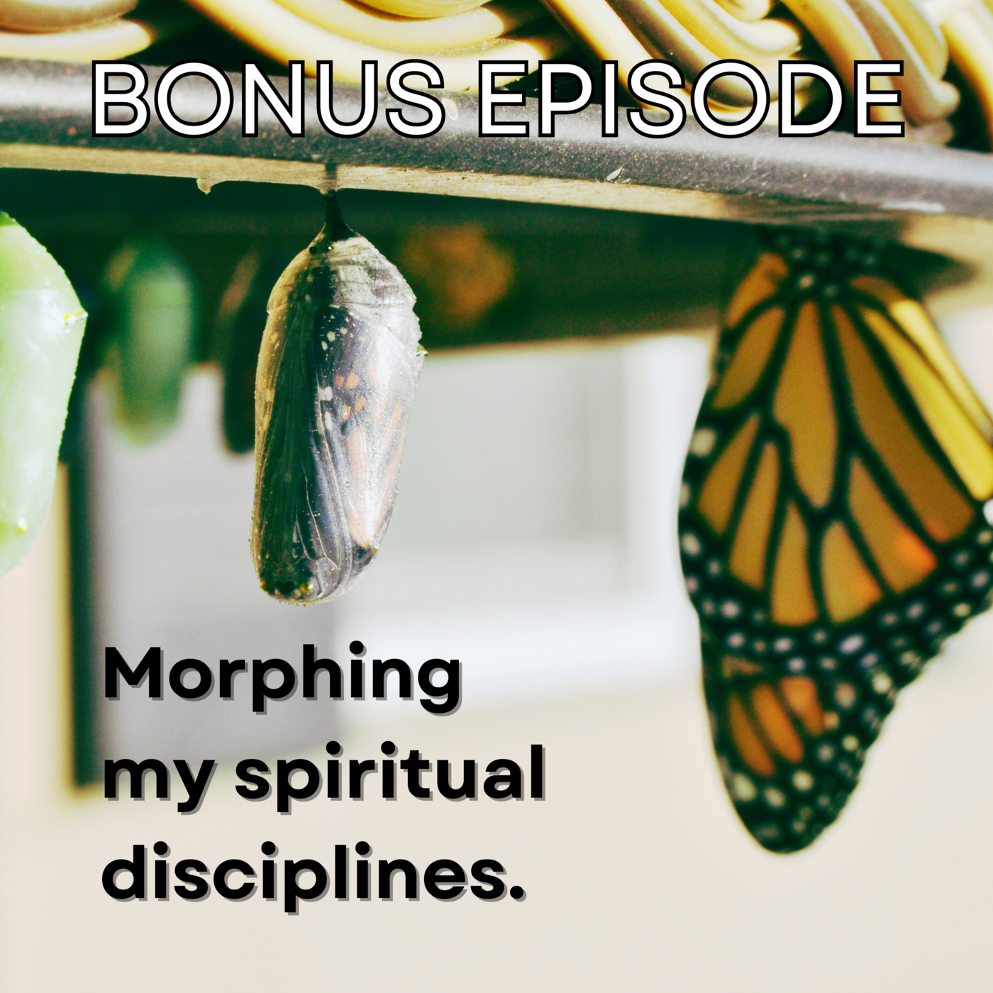 BONUS: Morphing my spiritual disciplines (from the members-only podcast "Digging Deeper")