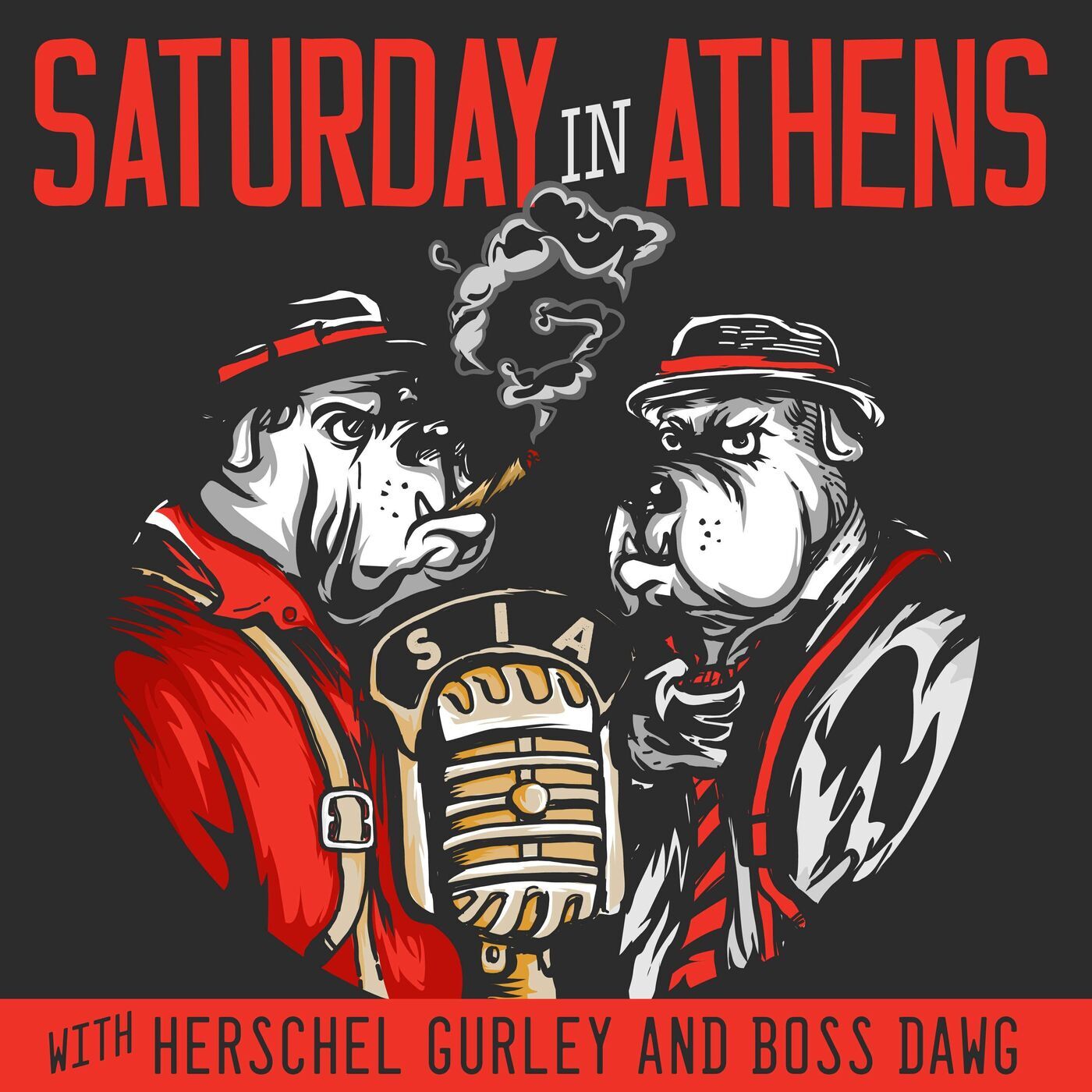 Dr. Stan Beecham, Part 1: The Original Hairy Dawg