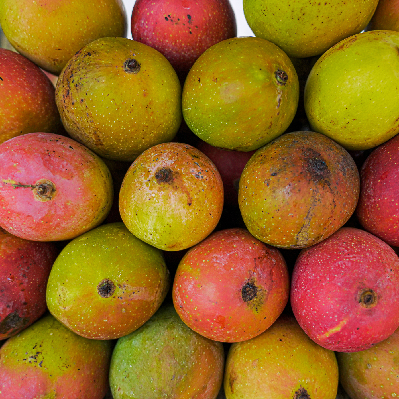 Pakistani mangoes and the man who sells them