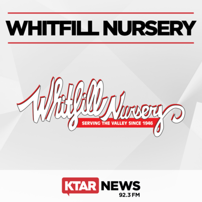 Whitfill Nursery