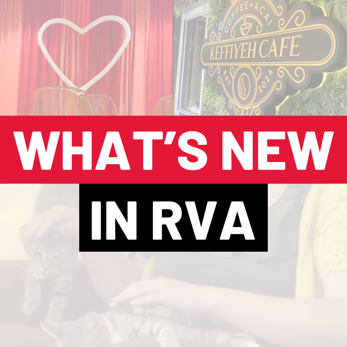 What's New in RVA: Summer wrap-up