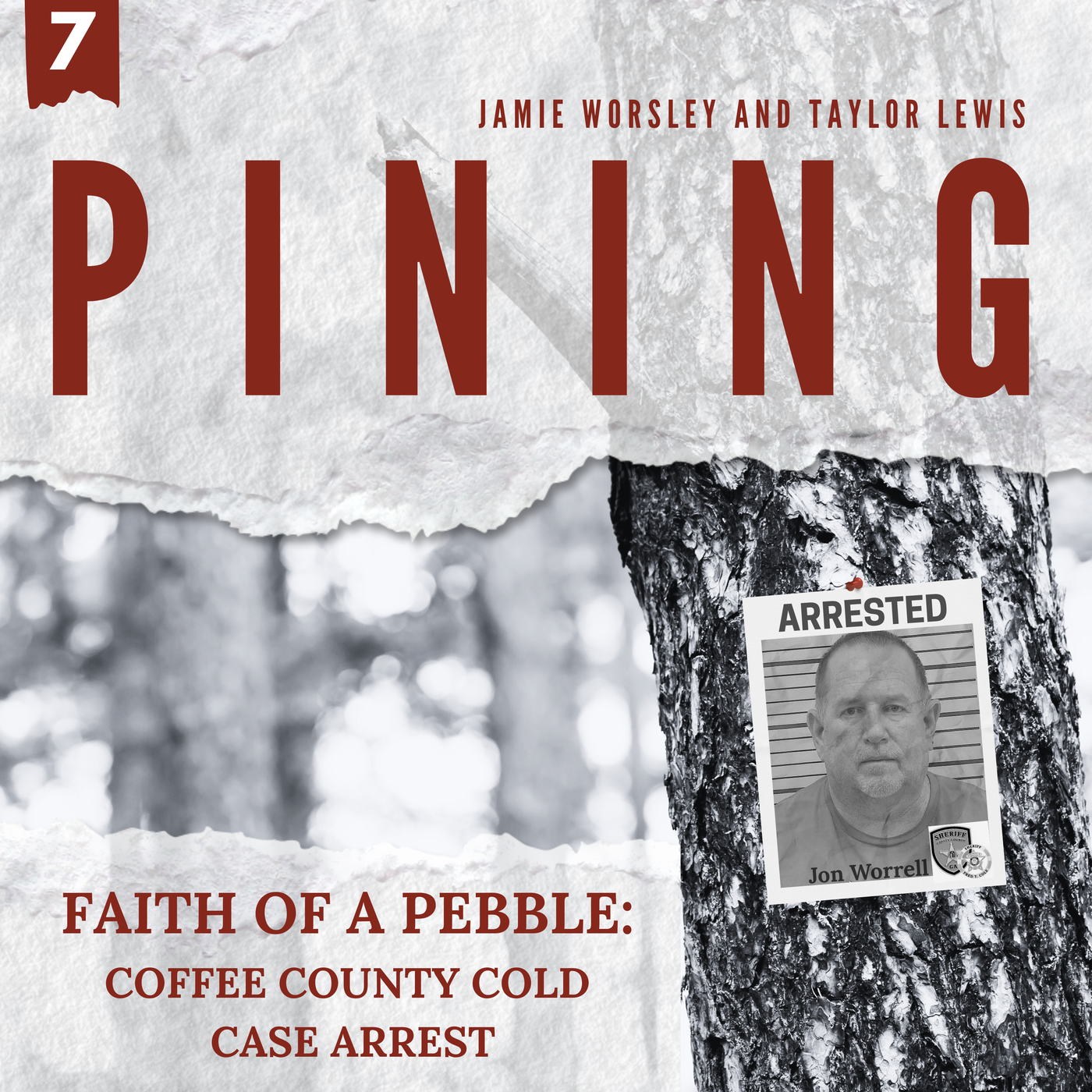 Faith of a Pebble: Coffee County Cold Case Arrest