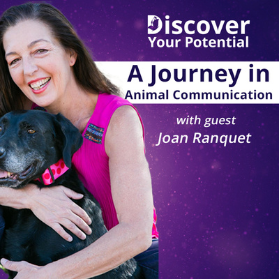 Discover Your Potential Show