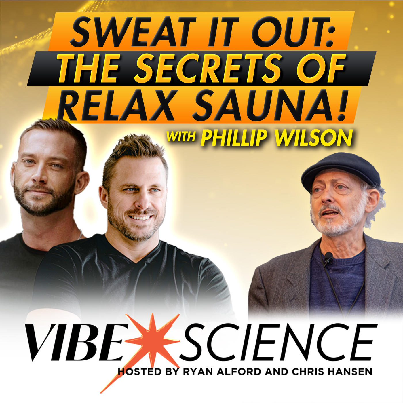 THE VIBE SCIENCE PODCAST