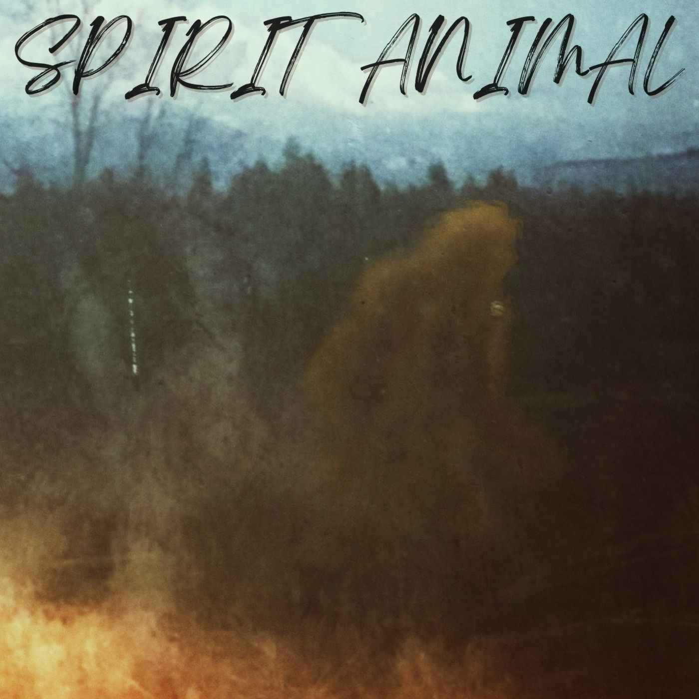 Ep. #557: SPIRIT ANIMAL w/ Alan Megargle, Thom Powell & Dr. Rebecca Foster