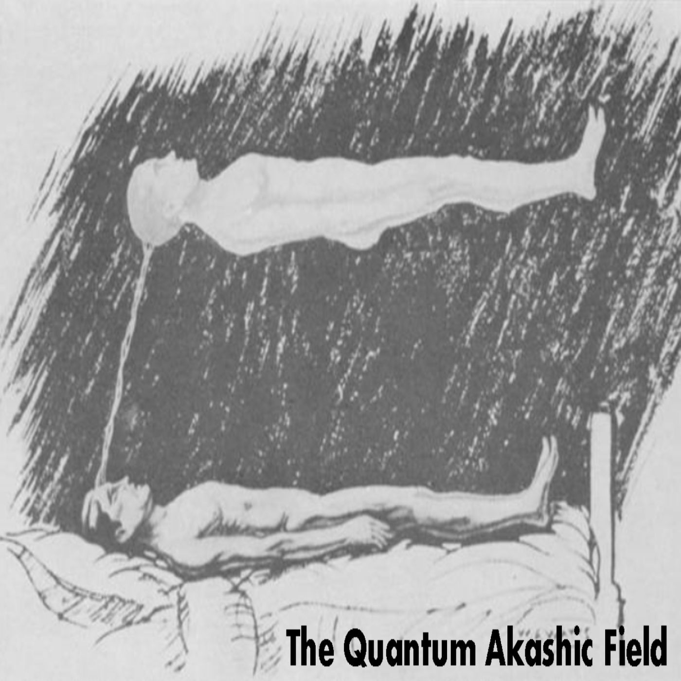 Ep. #343: The Quantum Akashic Field w/ Jim Willis