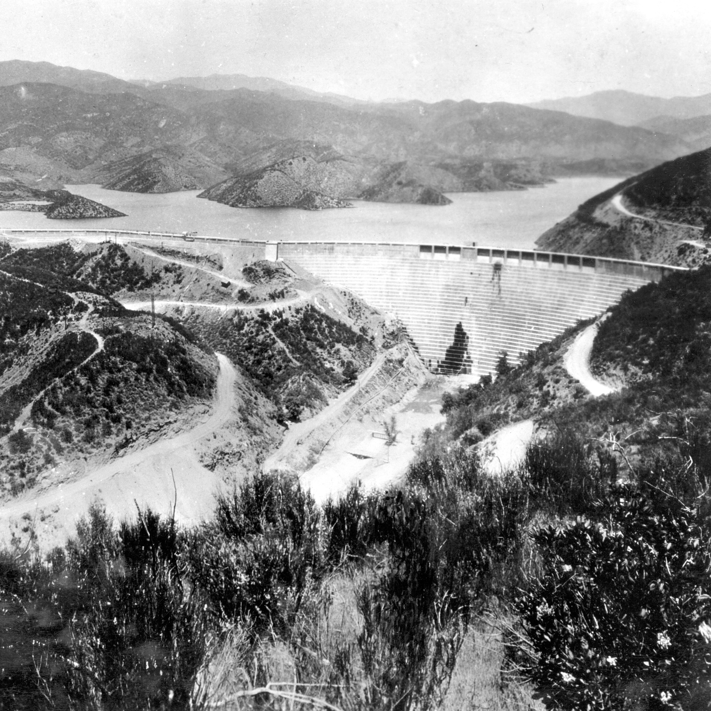 Chiara Barzini’s ‘Aqua’ chronicles LA’s water in peril
