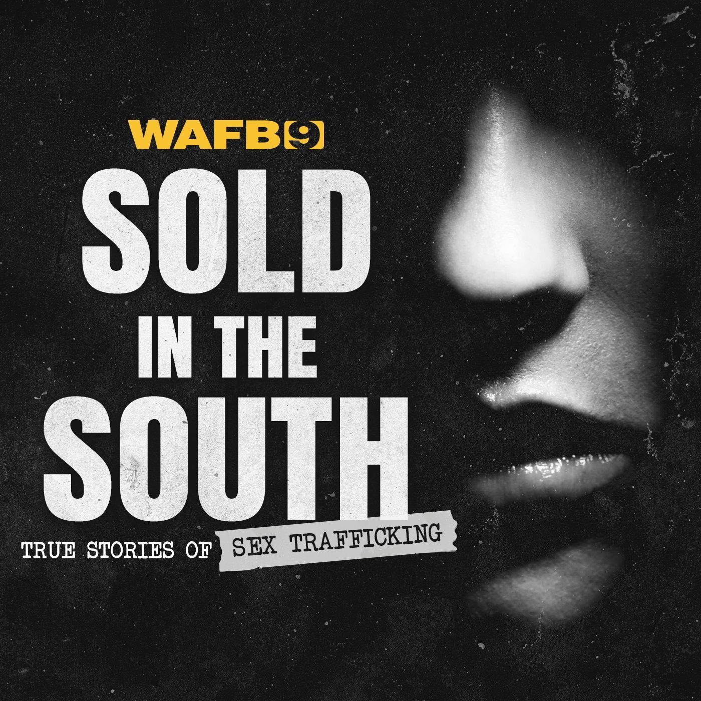 Sold in the South podcast artwork