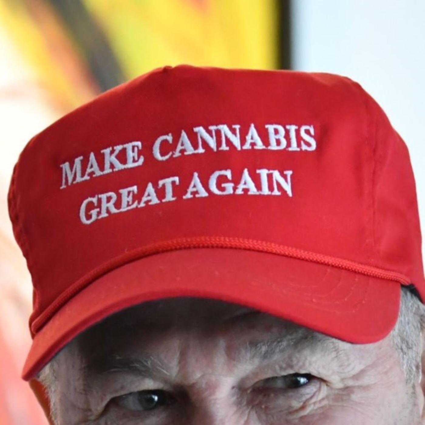 What's the holdup on legal weed in Wisconsin?