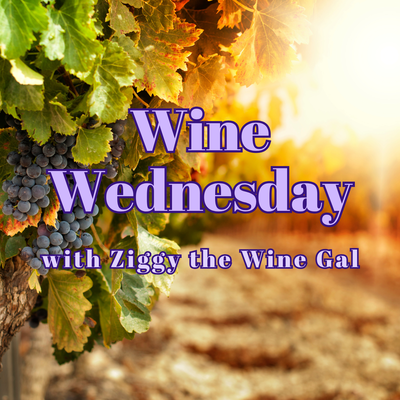 Wine Wednesday with Ziggy