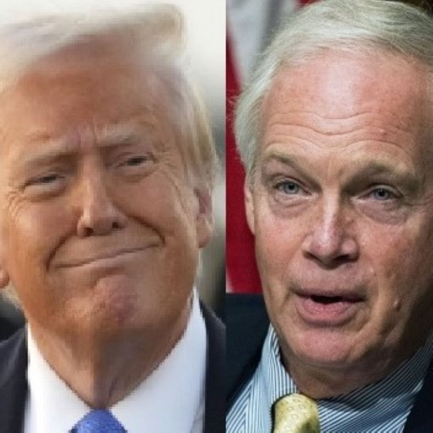 Ron Johnson vs. Donald Trump on tariffs