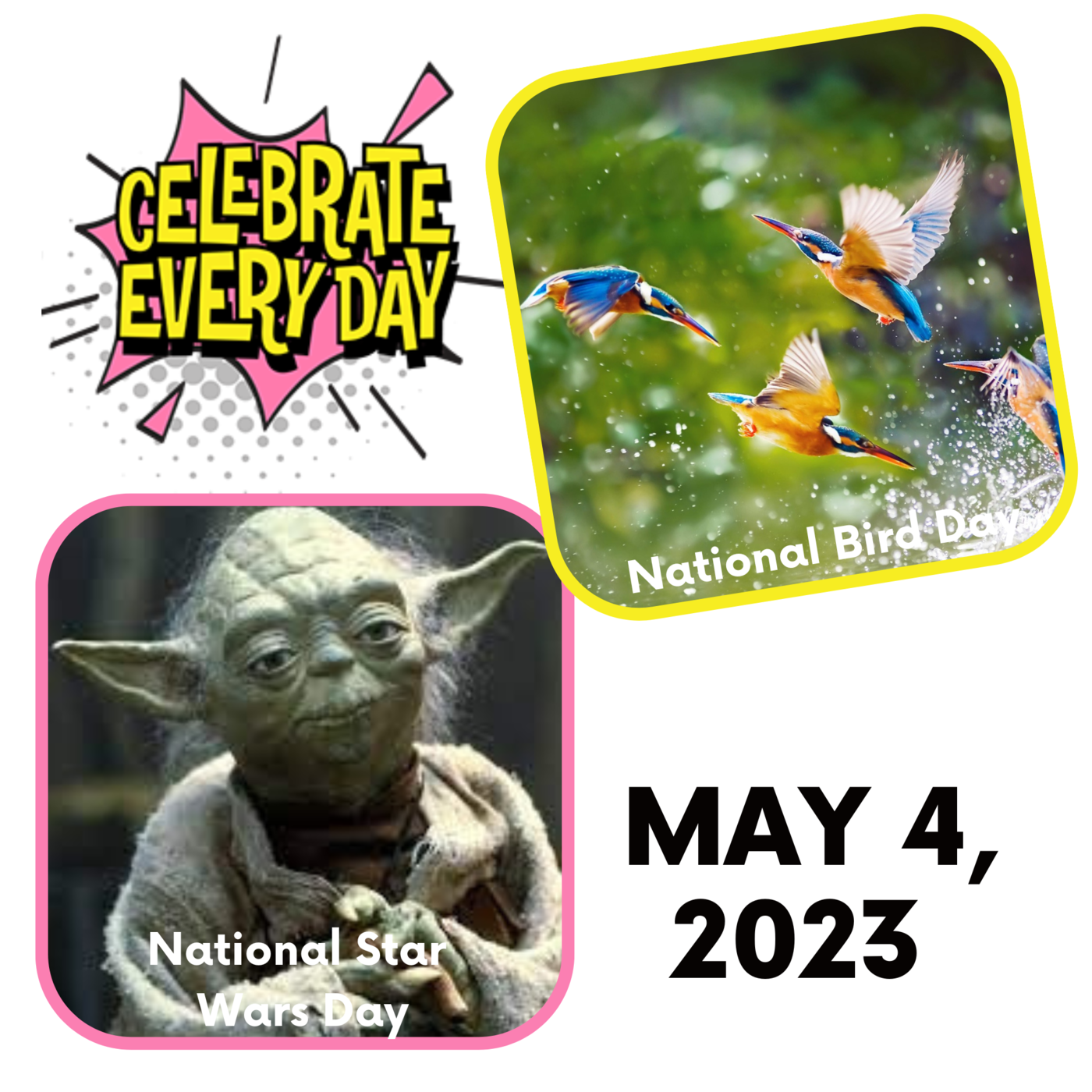 May 4, 2025 National Star Wars Day Bird Day by Celebrate Every Day