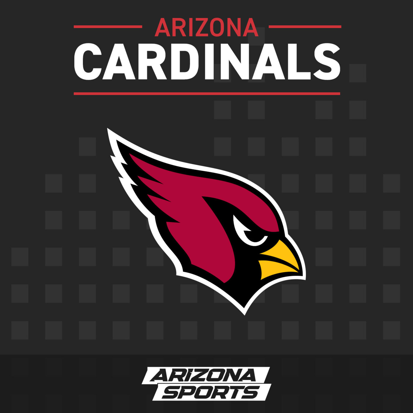 Podcast Arizona Cardinals Playlist Channel