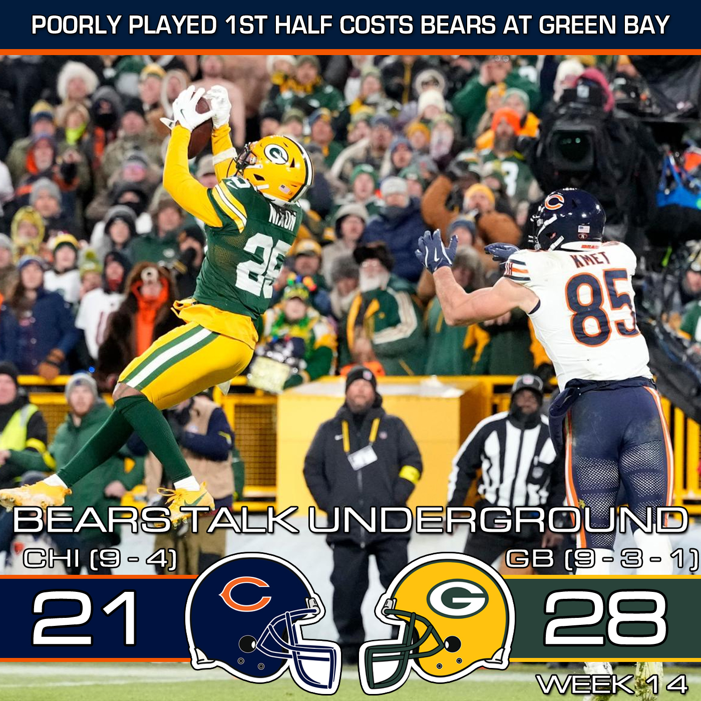 Week Fourteen Review - Bears 2nd Half Rally Falls Short, Lose to GB
